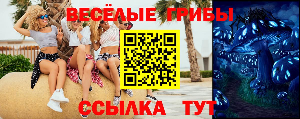 Псилоцибиновые грибы мухоморы Красноперекопск